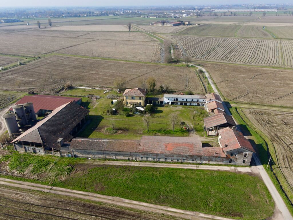 Cascinale