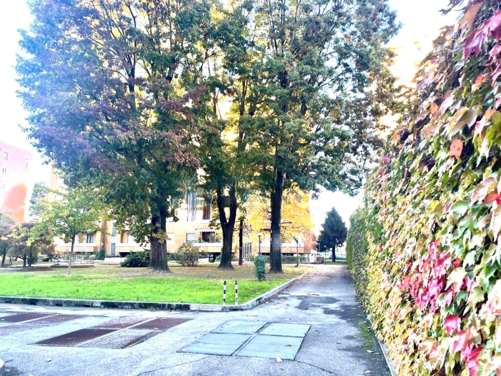 Due locali Milano - zona Famagosta