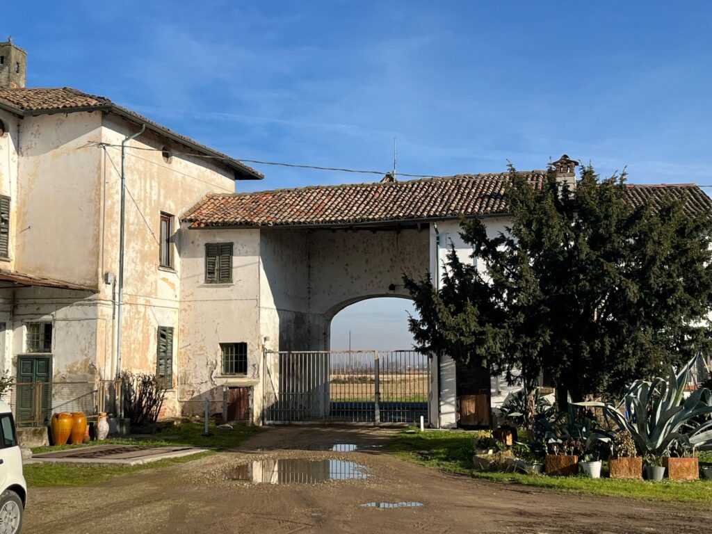 Cielo Terra